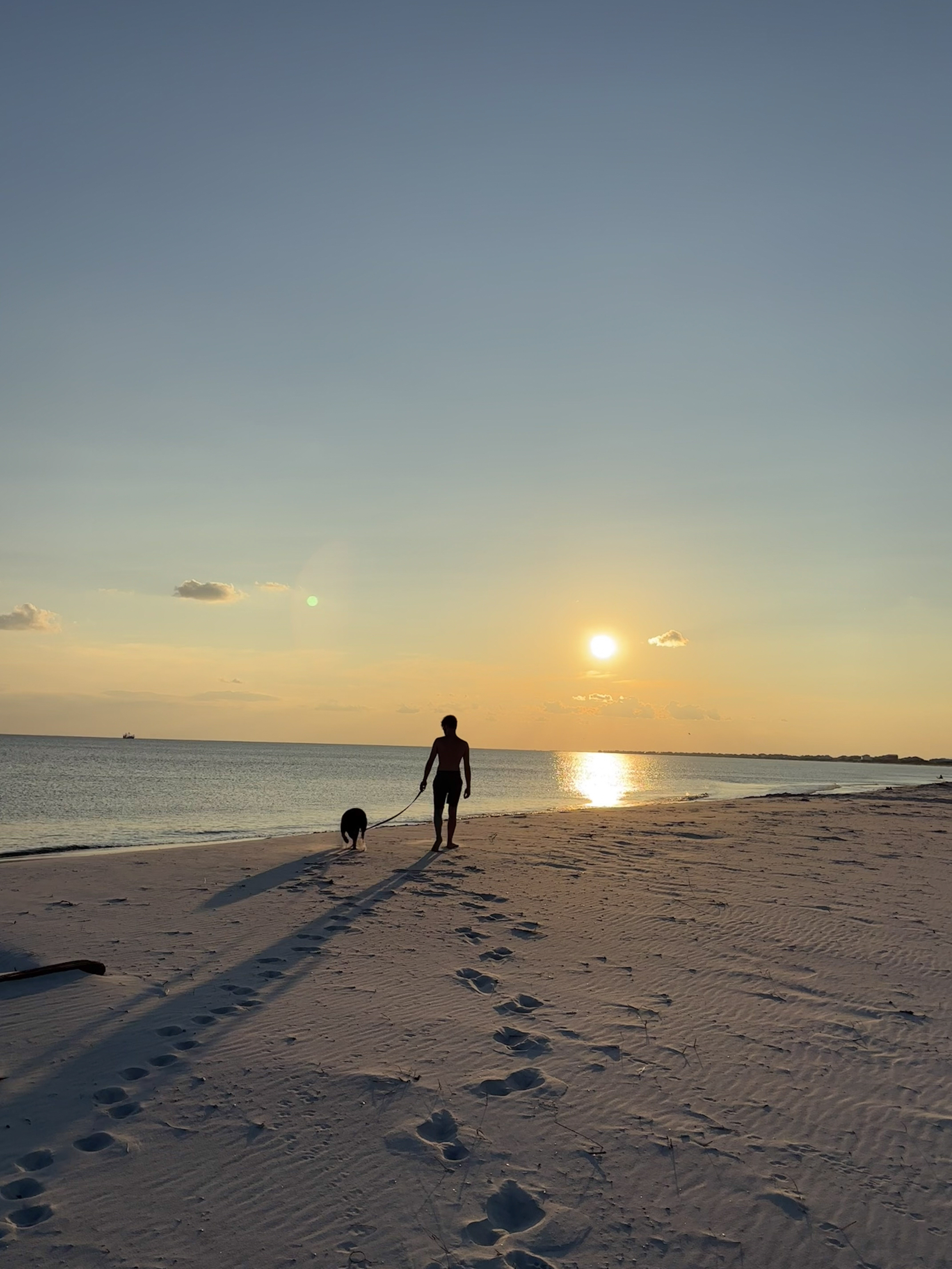 Michael Marrazzo portrait